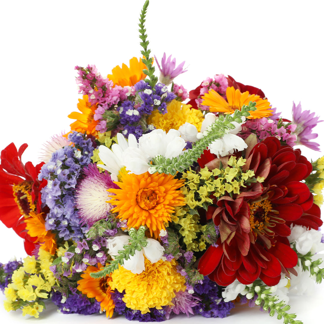 Floral Fragrance Oils