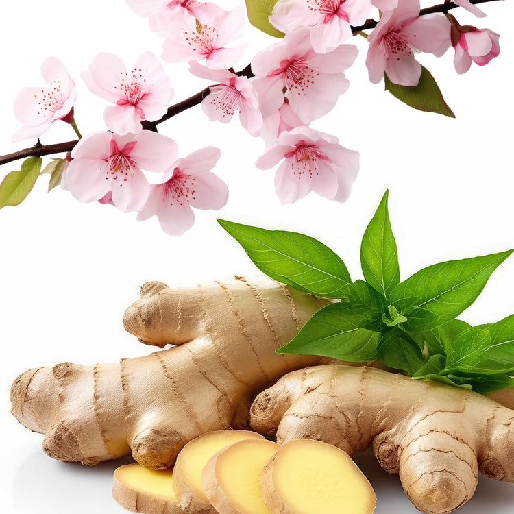 Oriental Fragrance Oils